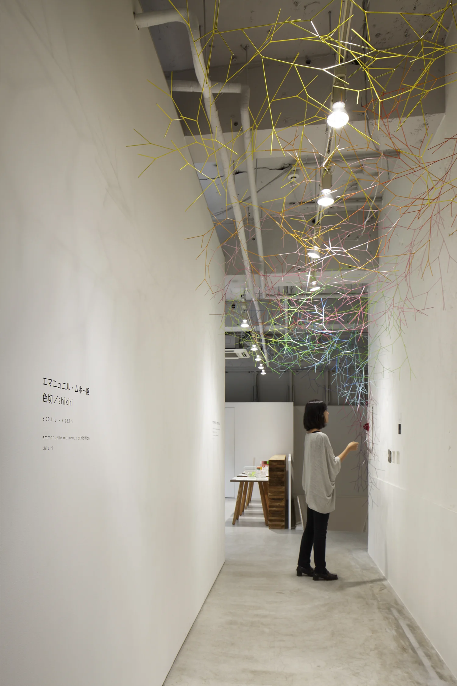 9_emmanuelle_moureaux_eda.jpg