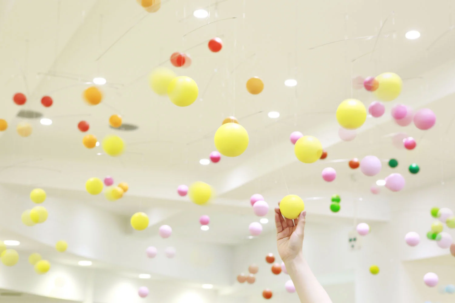 5_emmanuelle_moureaux_shinjuen.jpg