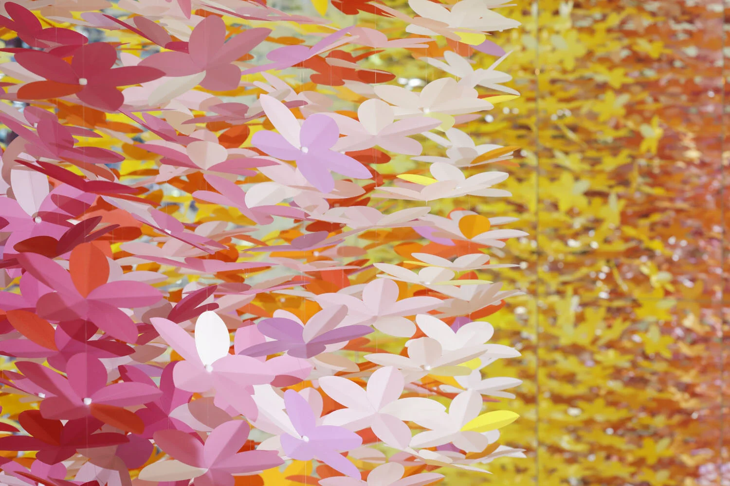 4_emmanuelle_moureaux_100_colors_flowers_PATEK_PHILIPPE.jpg