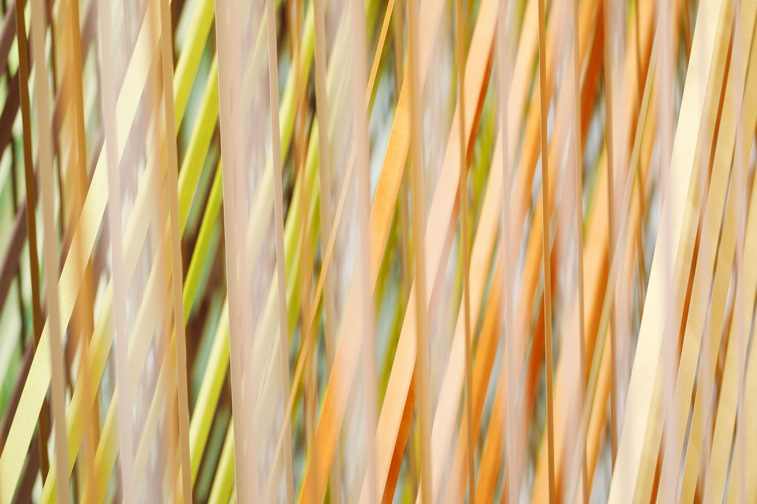 12_emmanuelle_moureaux_100_colors_35_mt.jpg