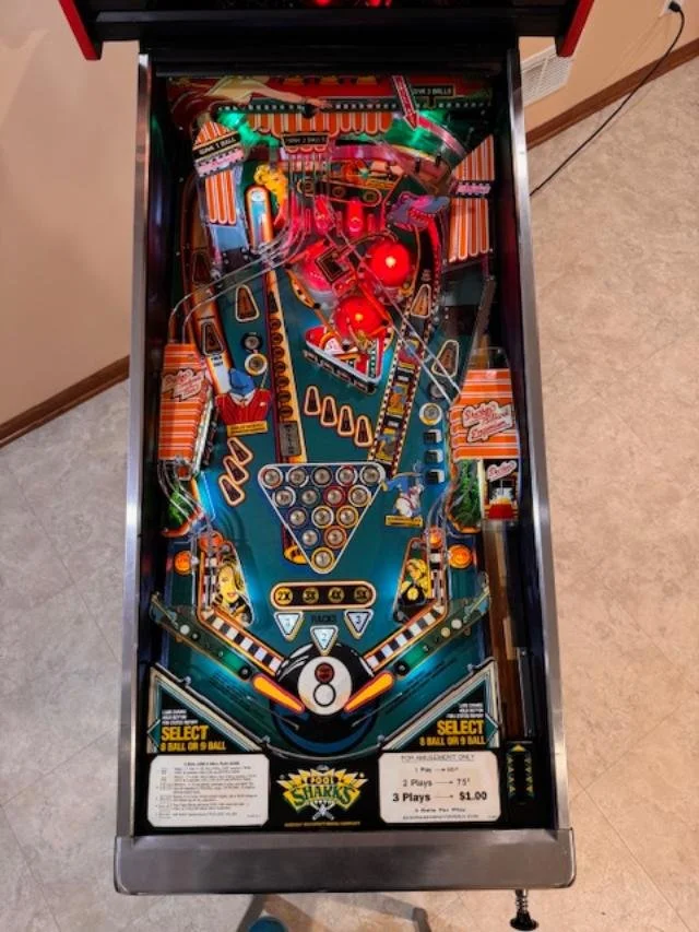 Famous Pool Sharks In History