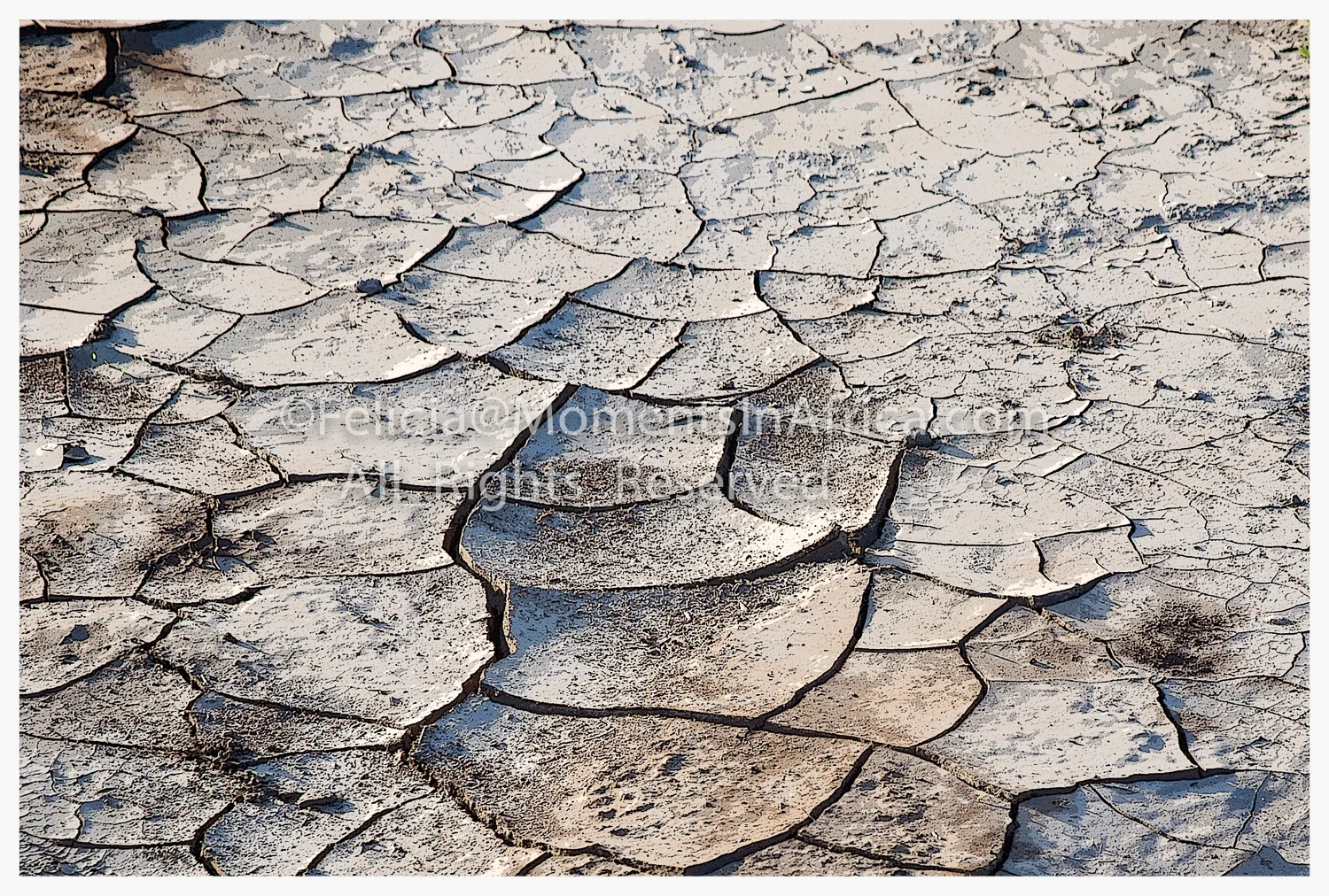 20101204-Scorched Earth.jpg