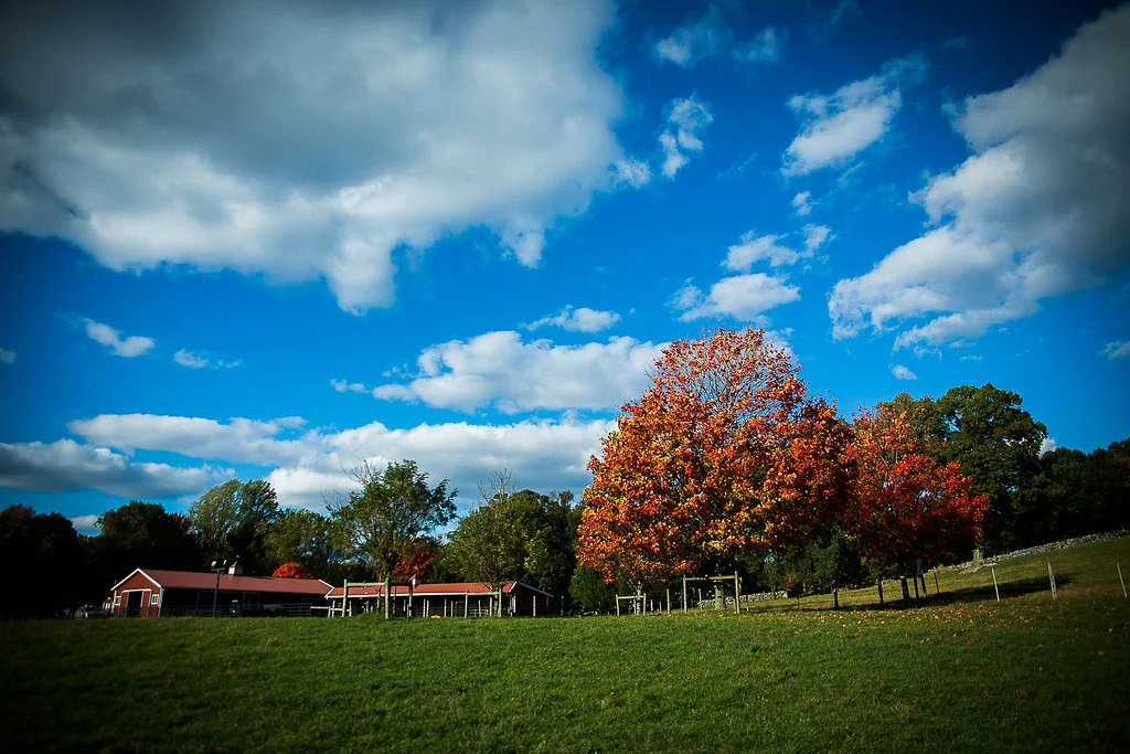 Jessica & Matt at Blue Hill Farm. Photo by Christopher Duggan Photography. Wedding Coordination by Just About Married. 