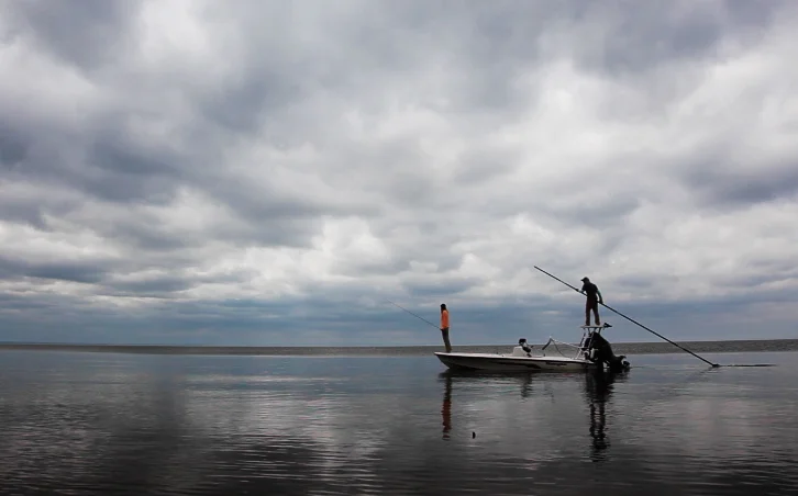 Stalking fish in the shallows.