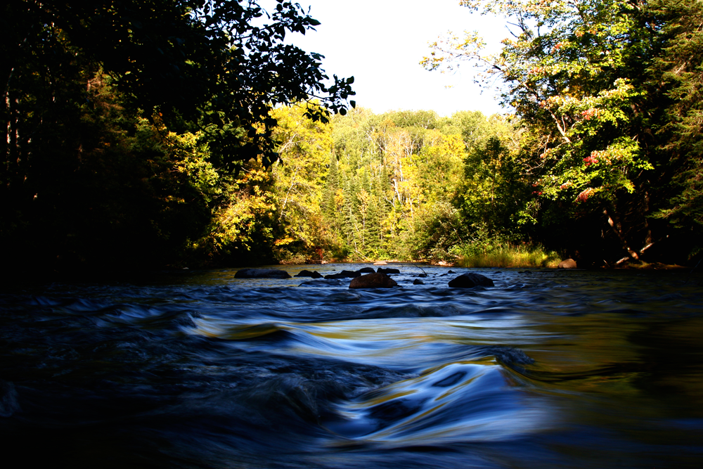 Local rivers are running great right now. Get out there and take in the late summer and early fall scenery.