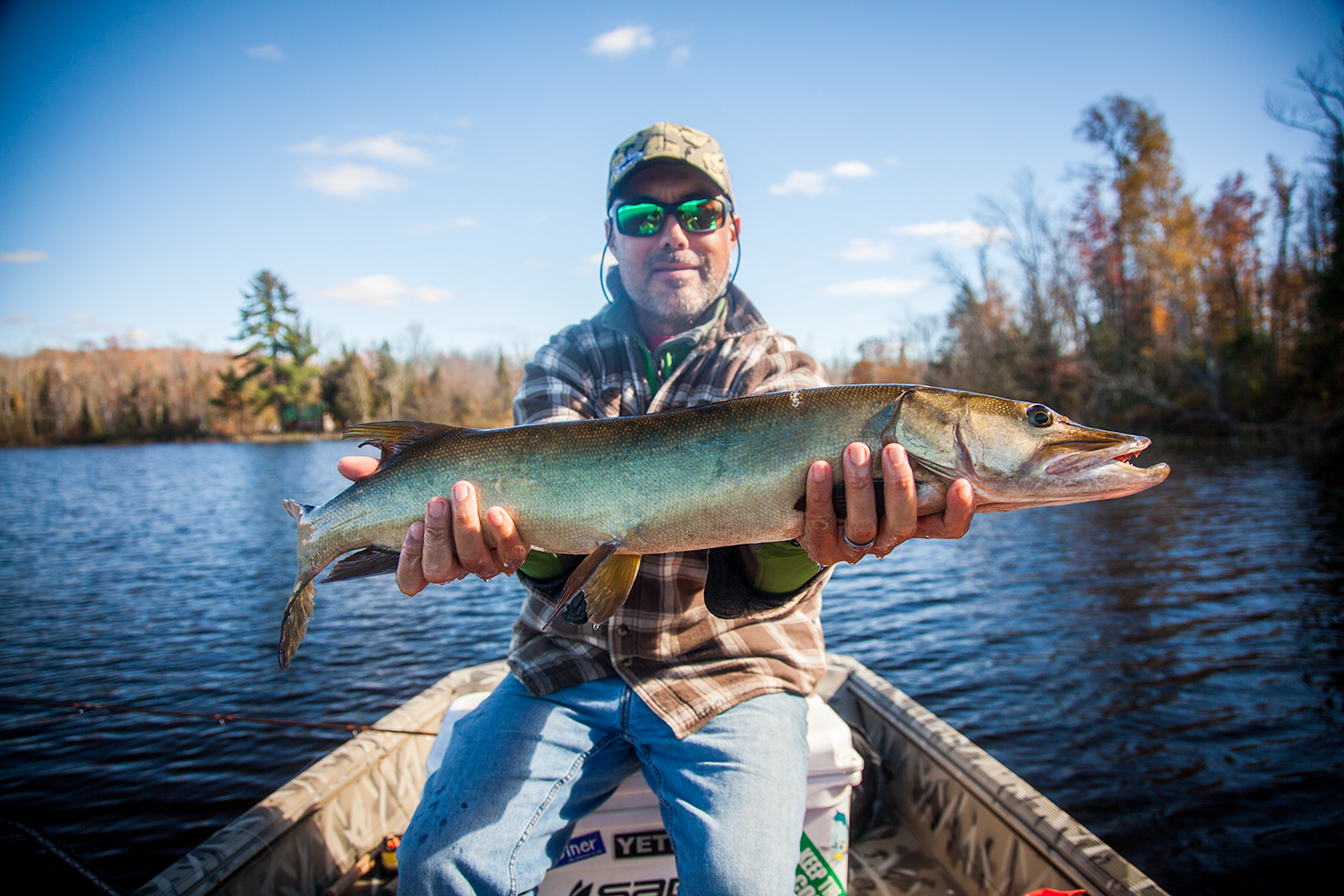 Kelly stuck this great little musky on the fly on a recent fall day.