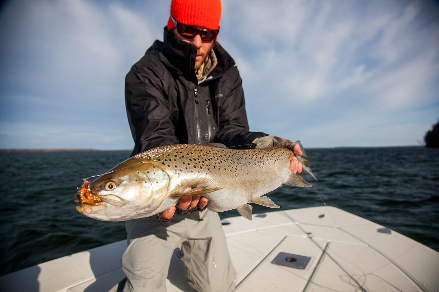 Big fish on big flies or light tackle nearshore. An extremely under utilize fishery in our area. 