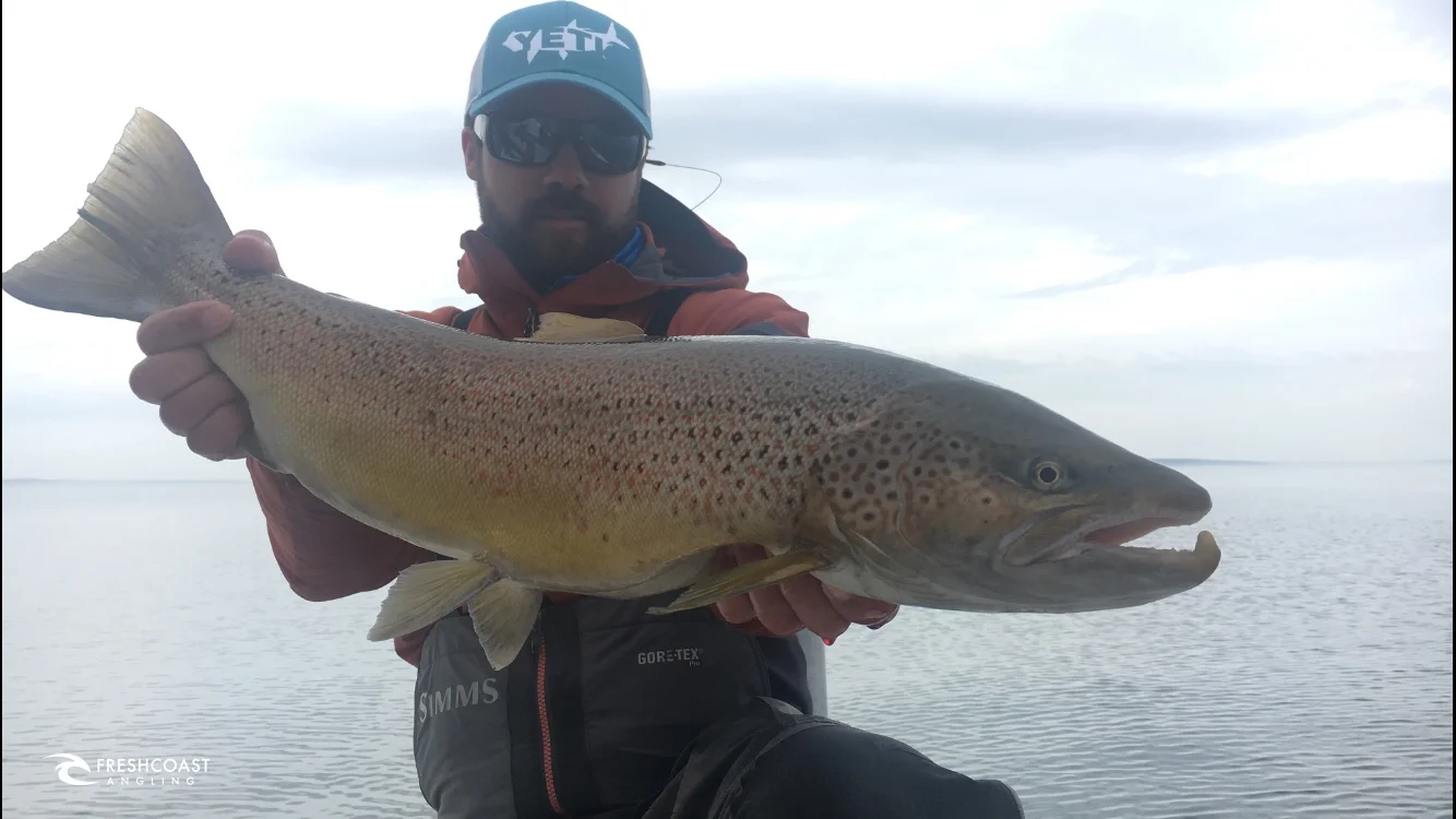 Capt. Luke displays a really nice brown caught by David Denham. This fish ate once, got off, then came back and hammered his spoon again near the boat. 