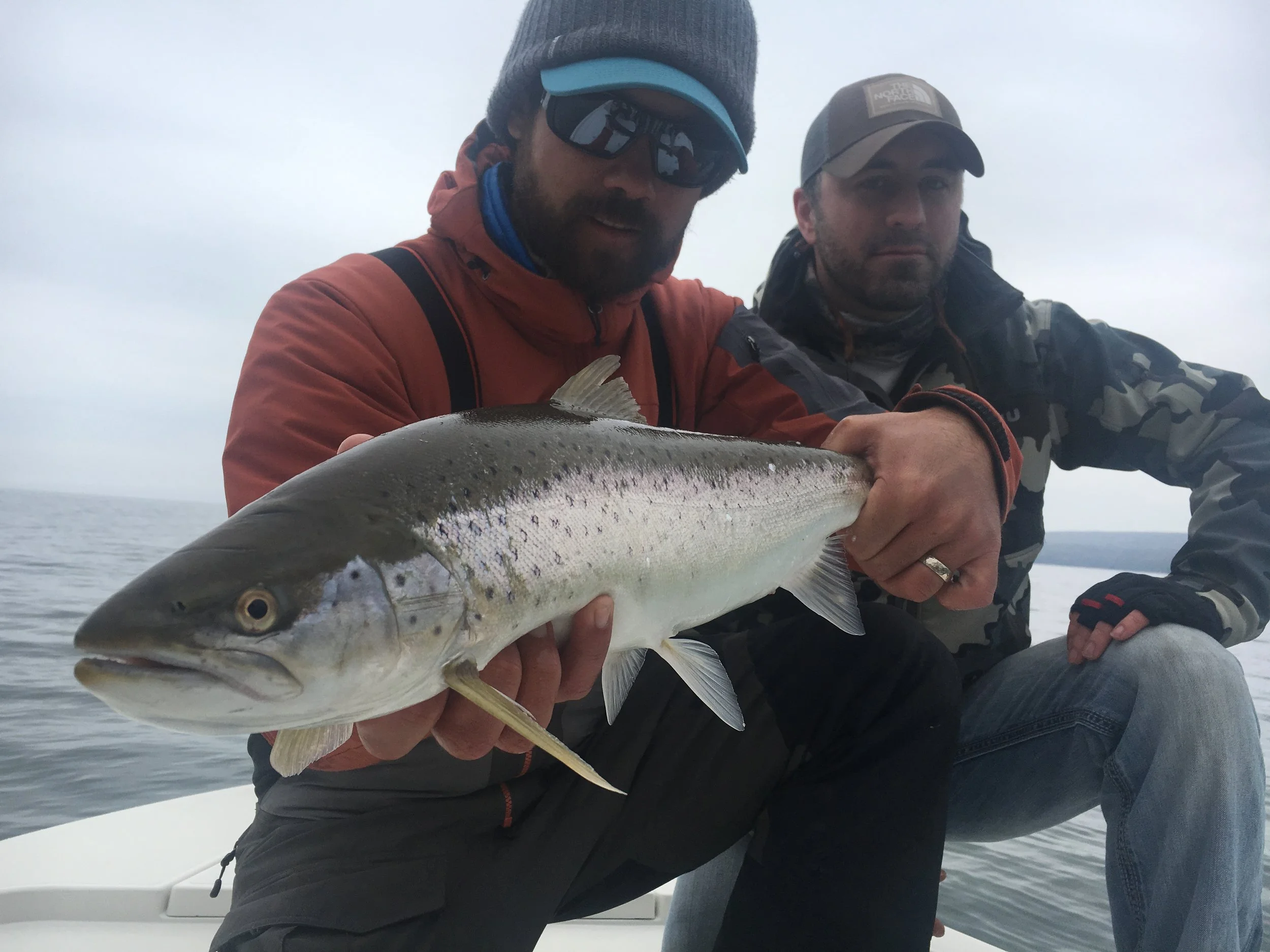 Ryan with a great brown that followed all the way to the boat like a musky, then ate boatside. 