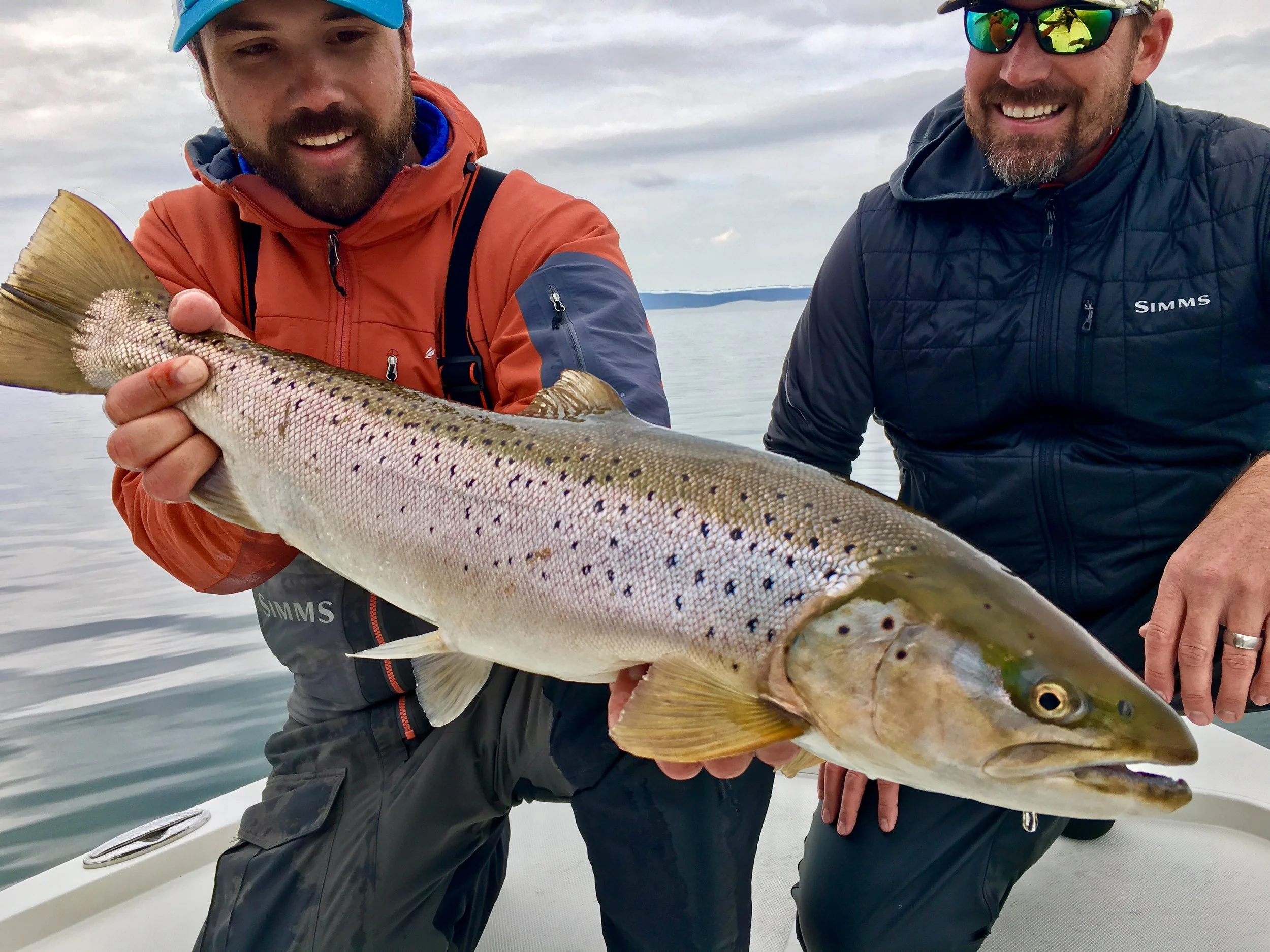 David with another great Seeforellen brown caught while casting. 