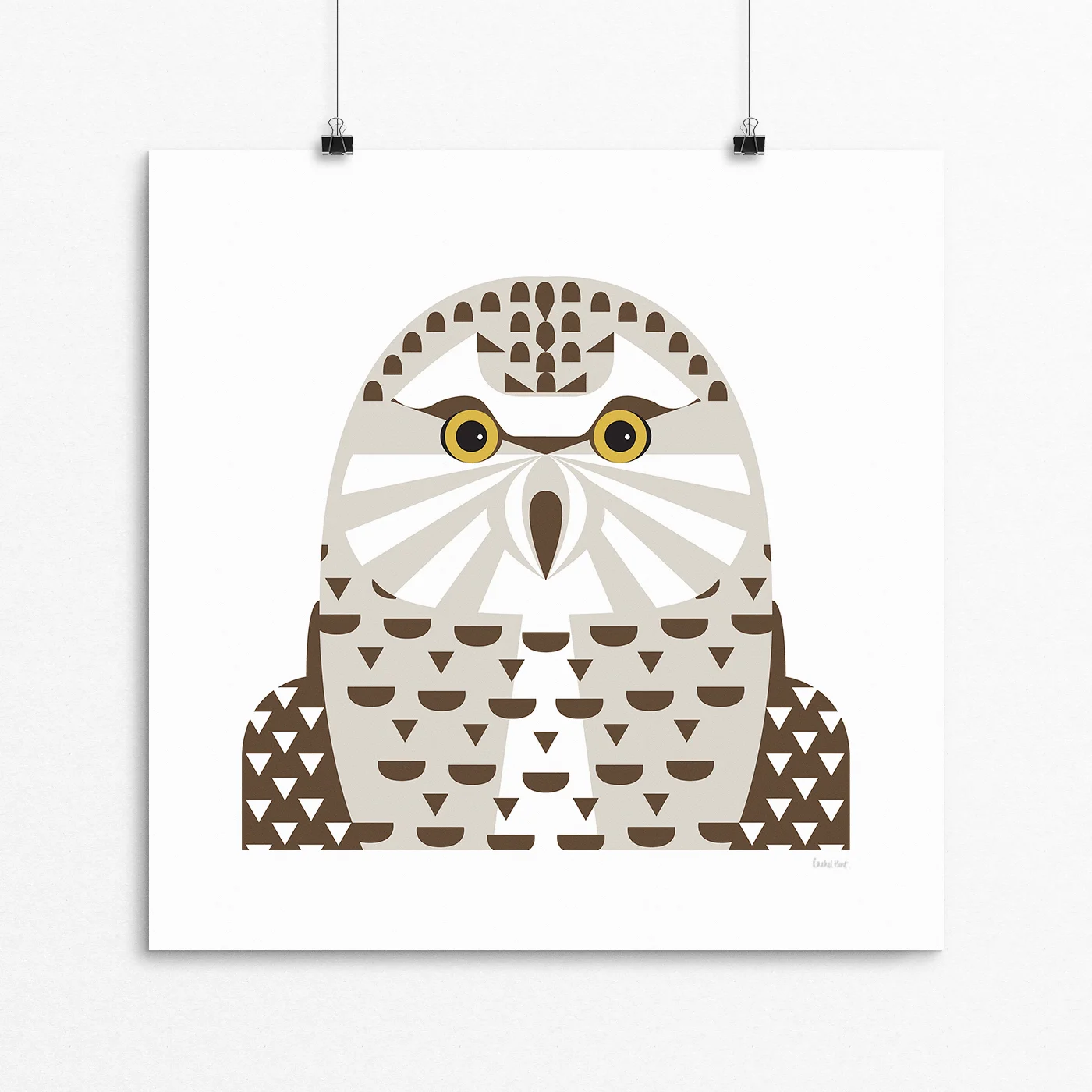 Owl.jpg
