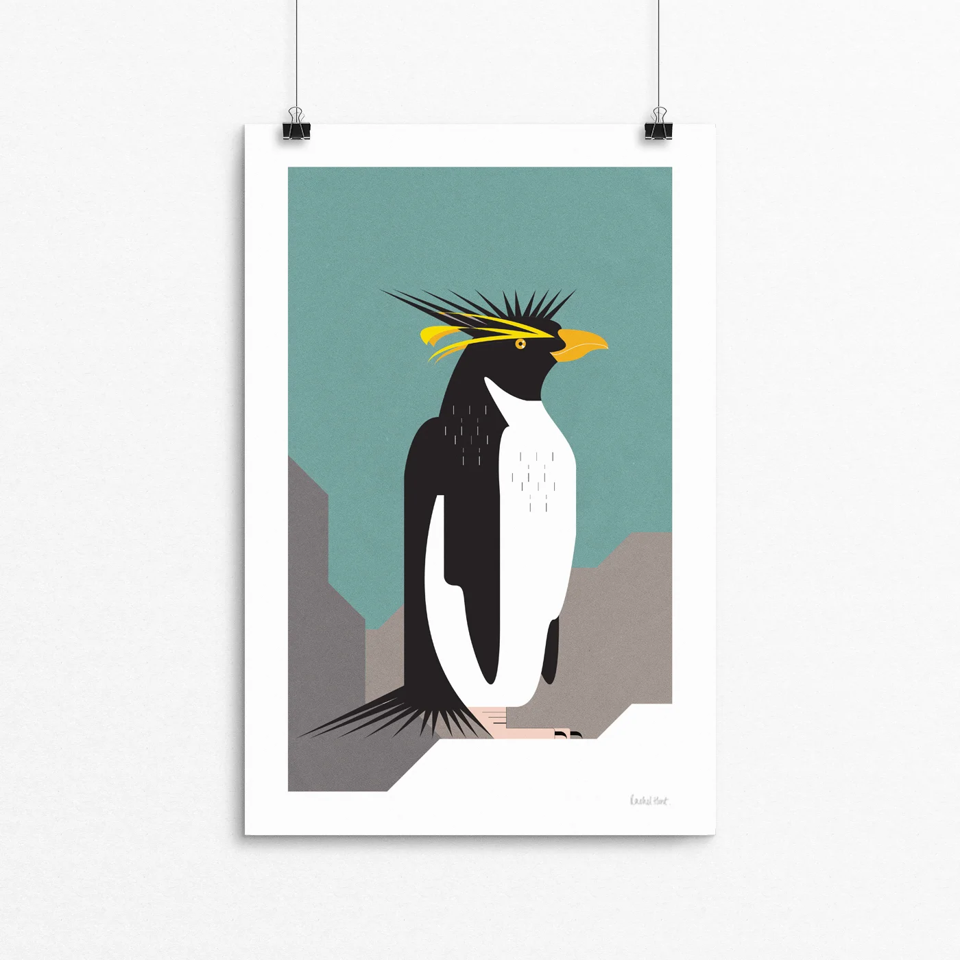Rockhopper.jpg