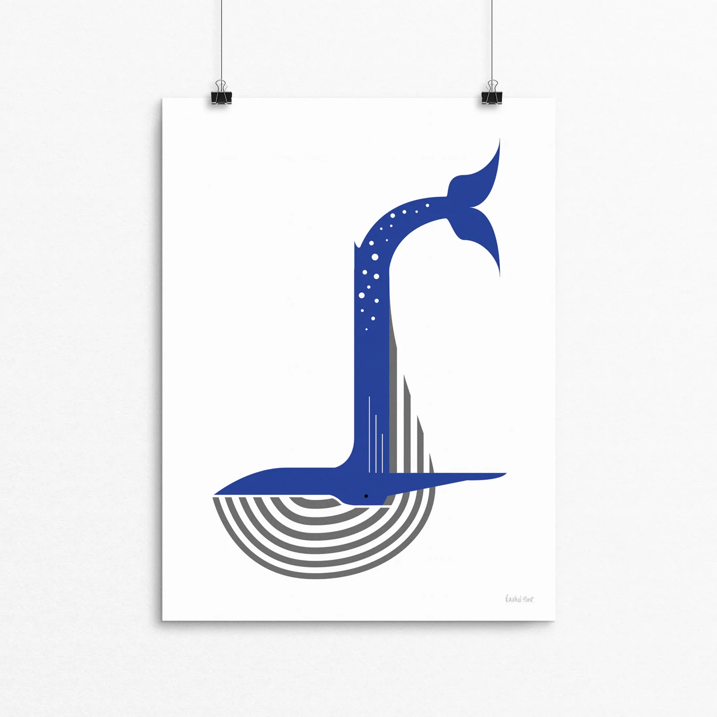 whale.jpg