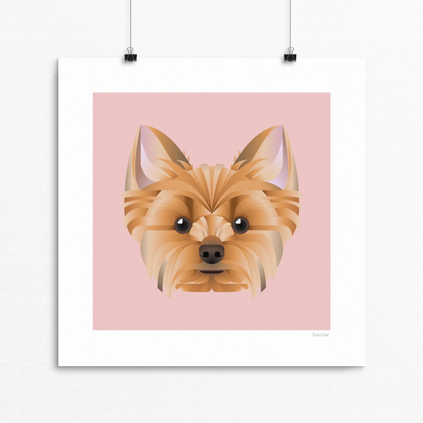 Yorkie.jpg