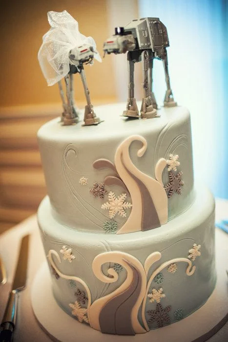 Photo source: whengeekswed.com