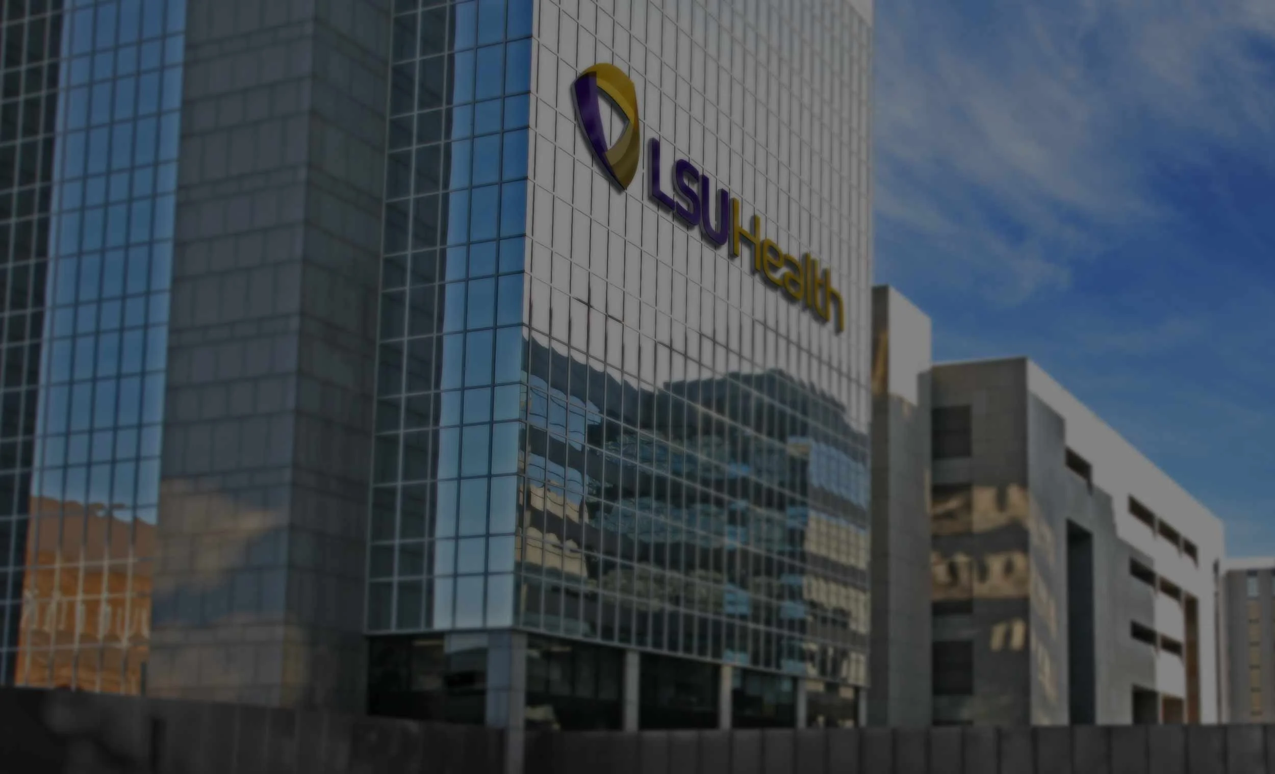 LSU-Header2.jpg