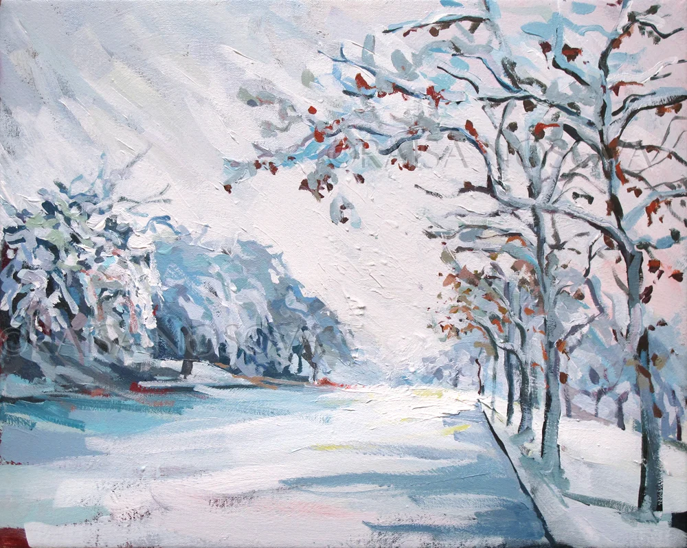 Snow Blanket