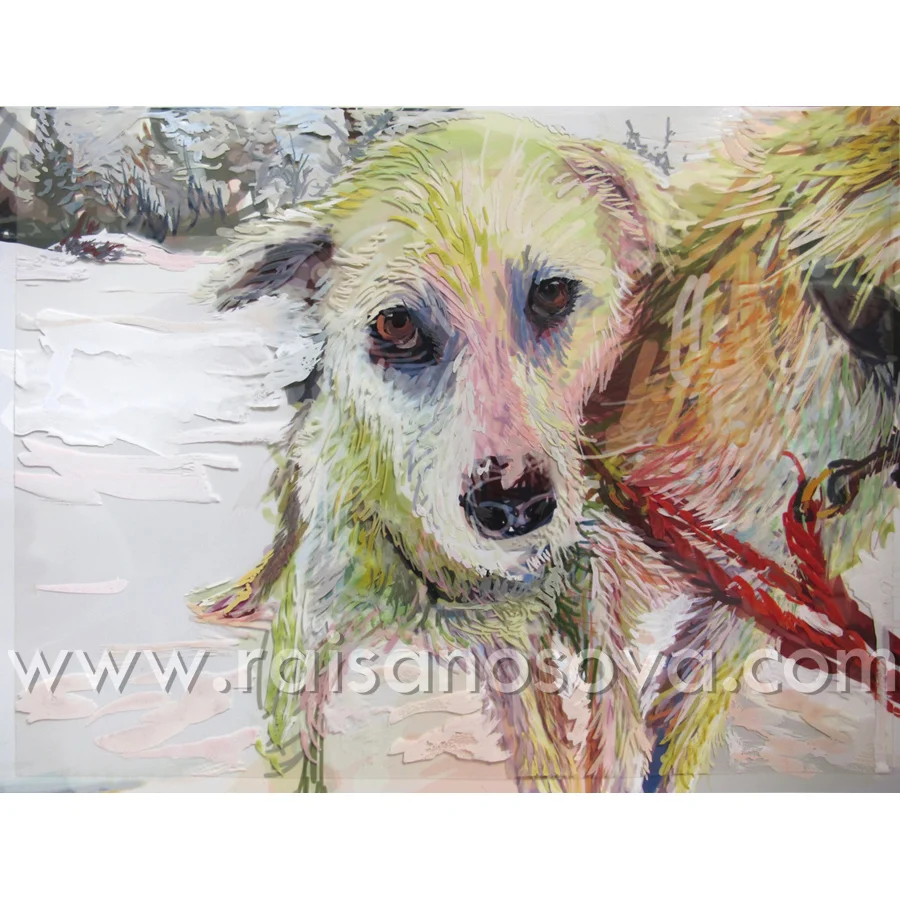 Galo Dog Sleding, Norway