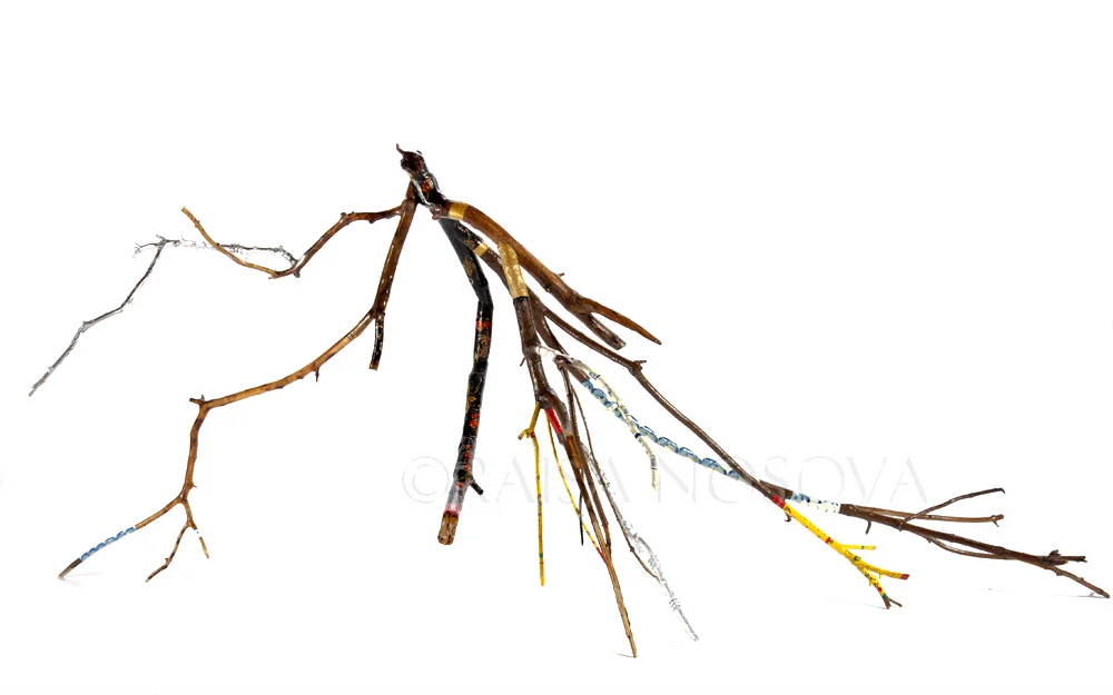 My Roots