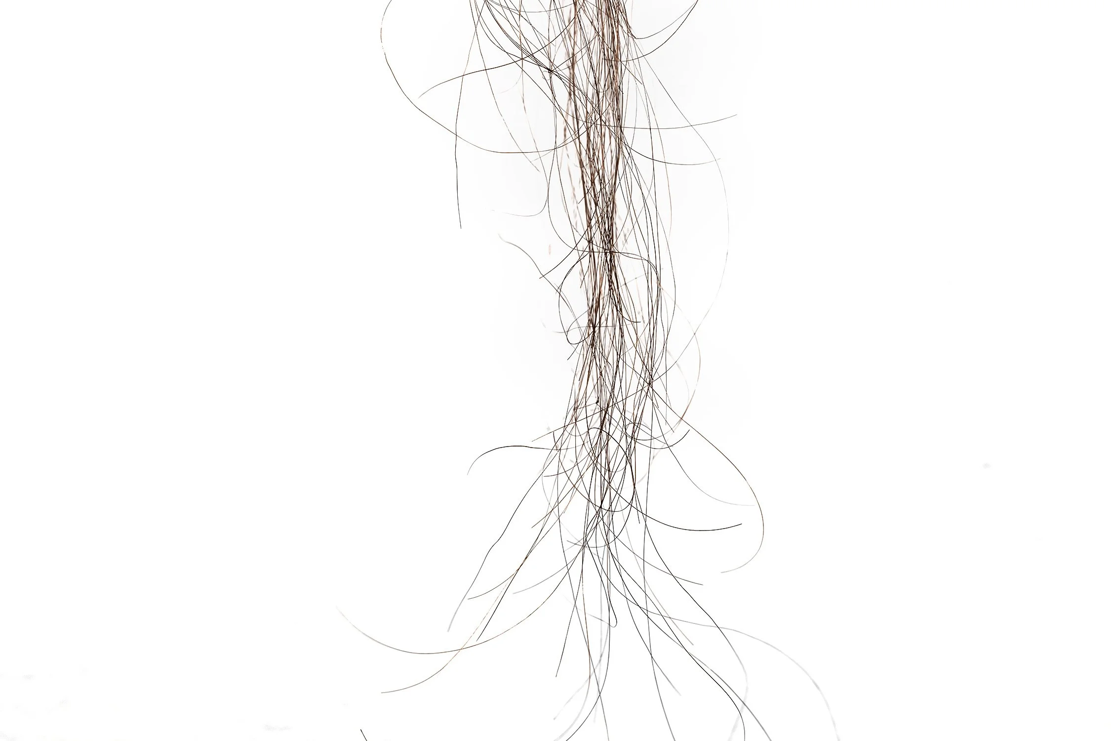 my_keratinized_protein_det_04sm.jpg