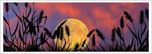 AUGUST and the Super-Moon 2015