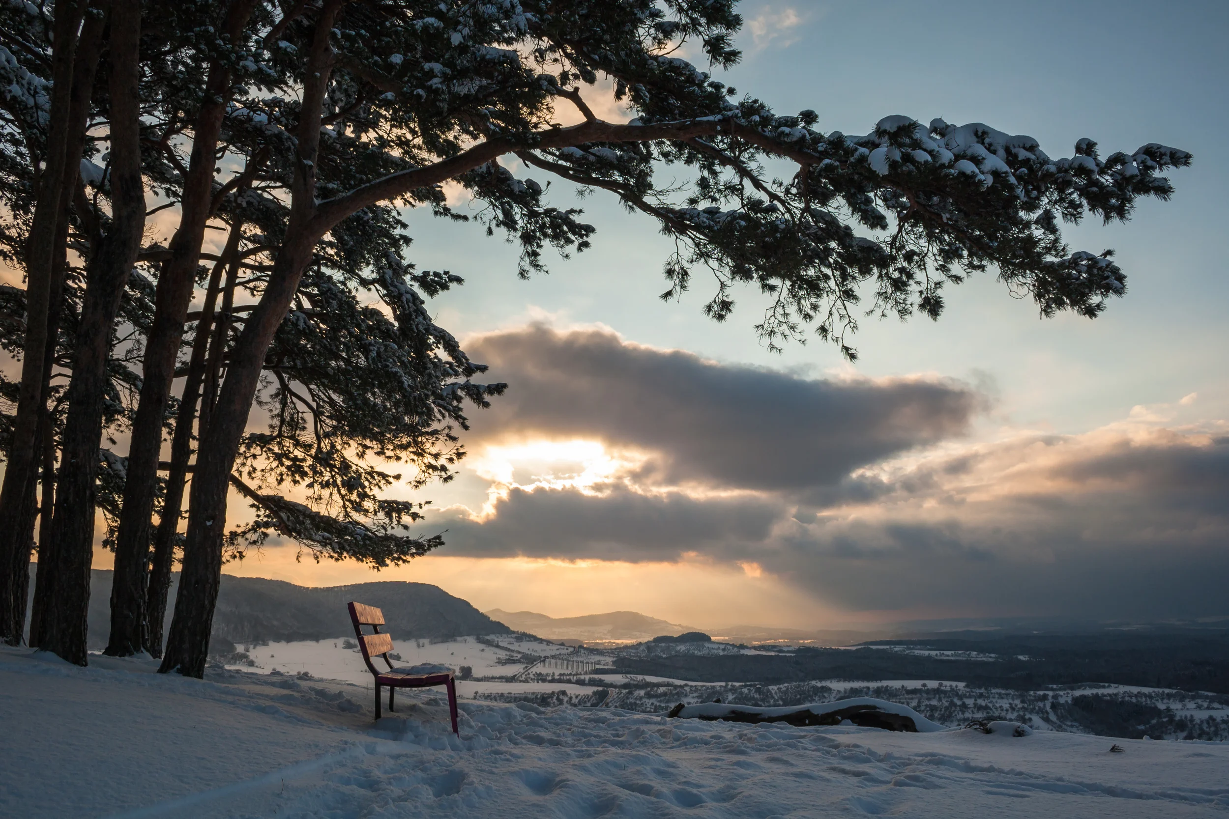 Winterträume