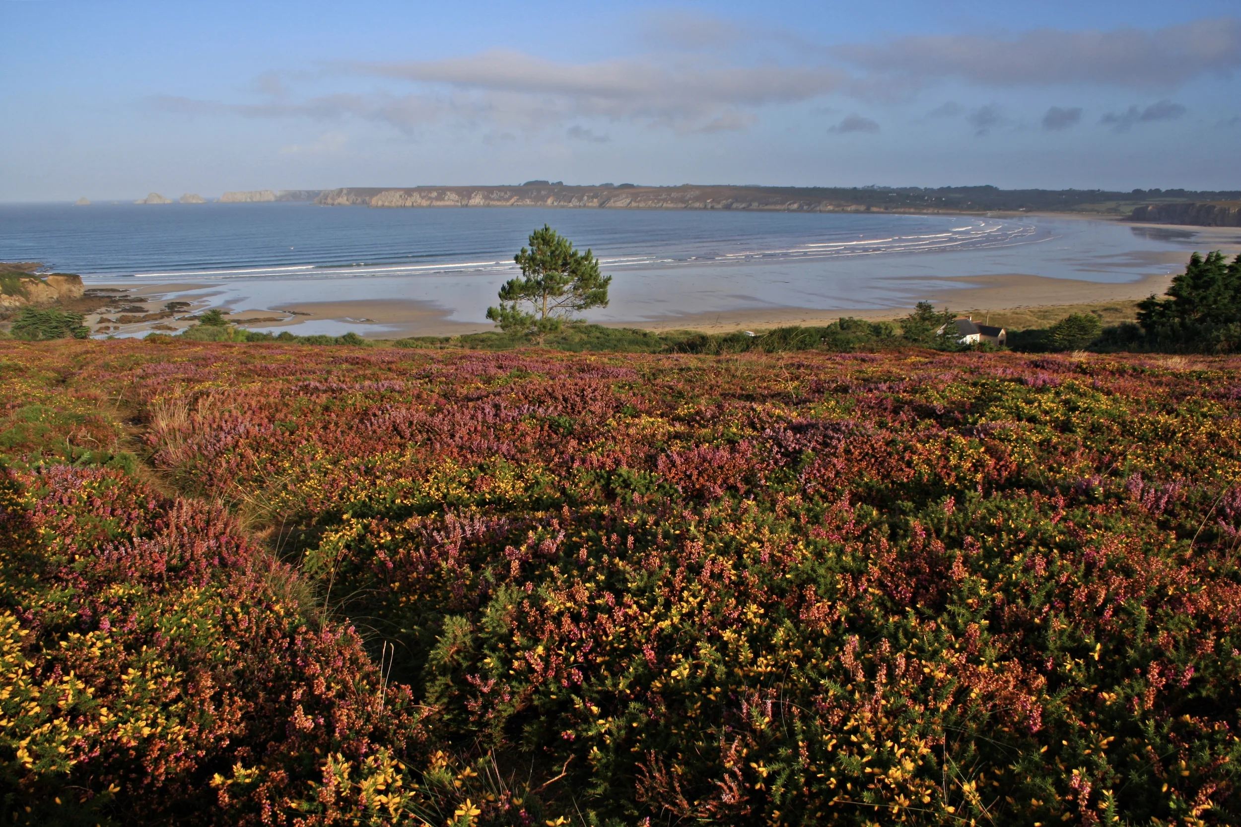  Goulien, August 2012 