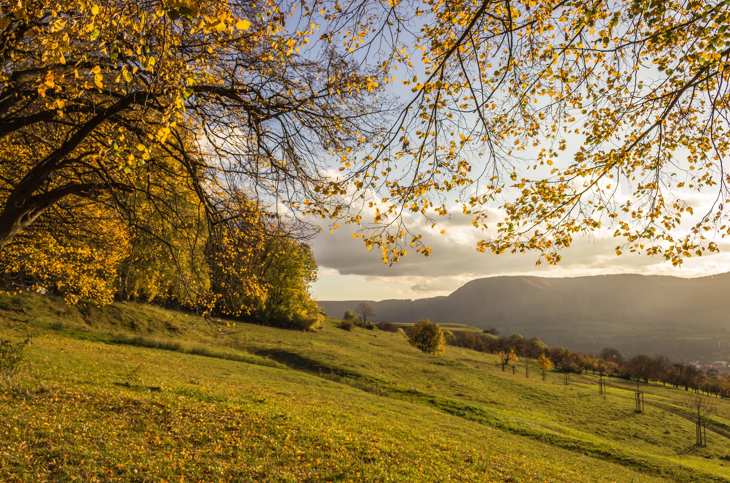 Im Herbstlicht