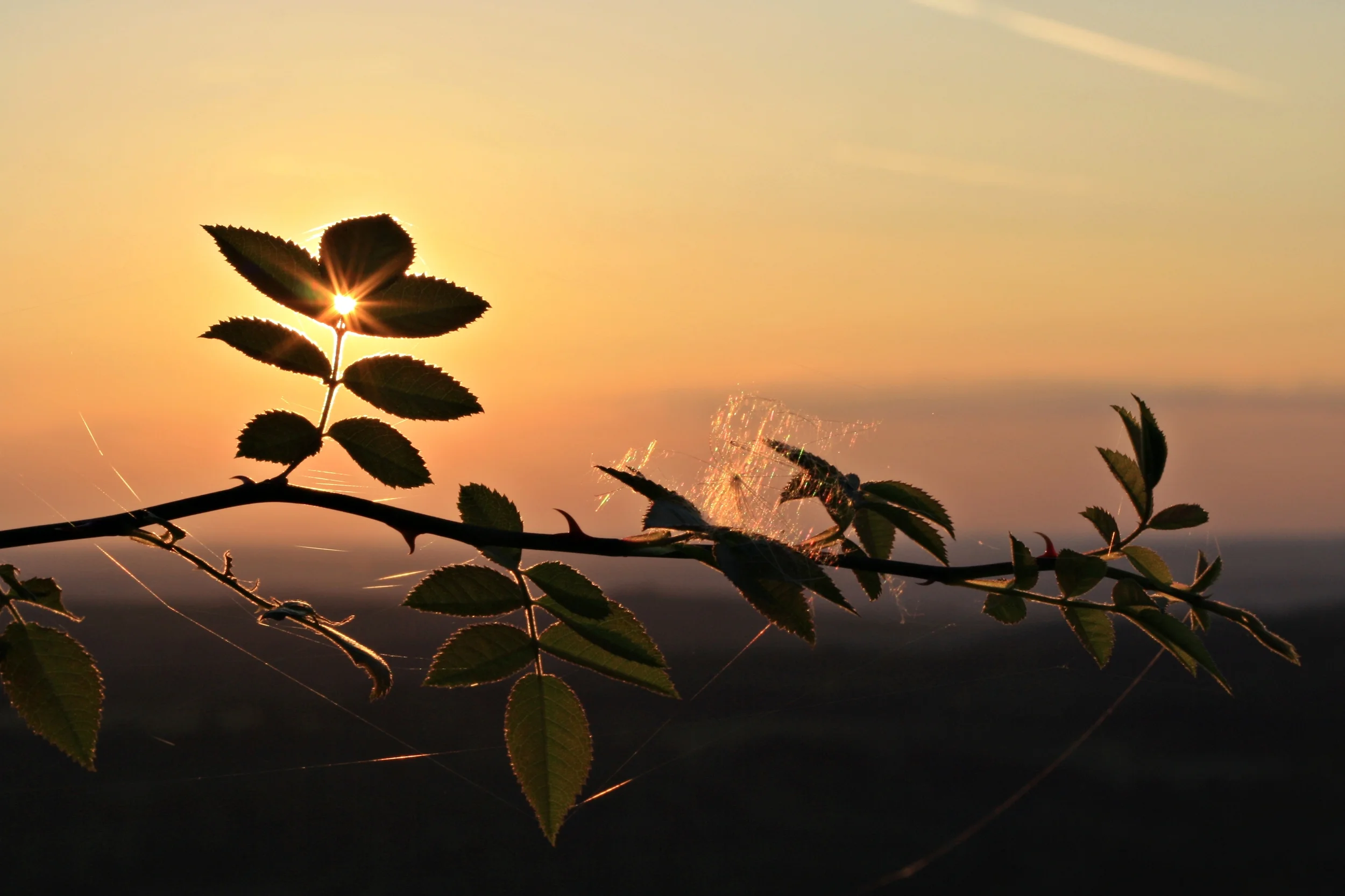 Moment im Licht