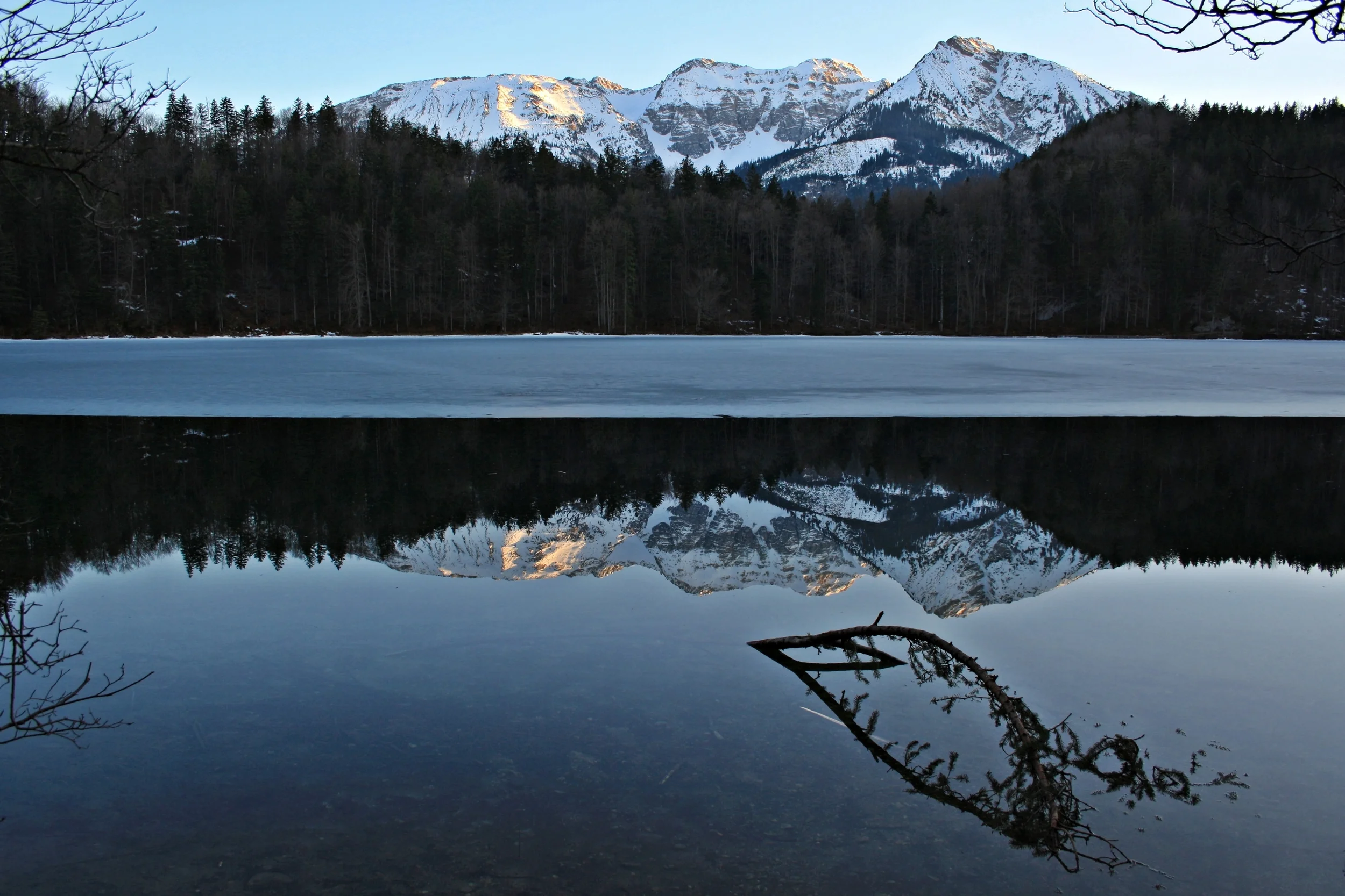 Der Spiegel der Natur