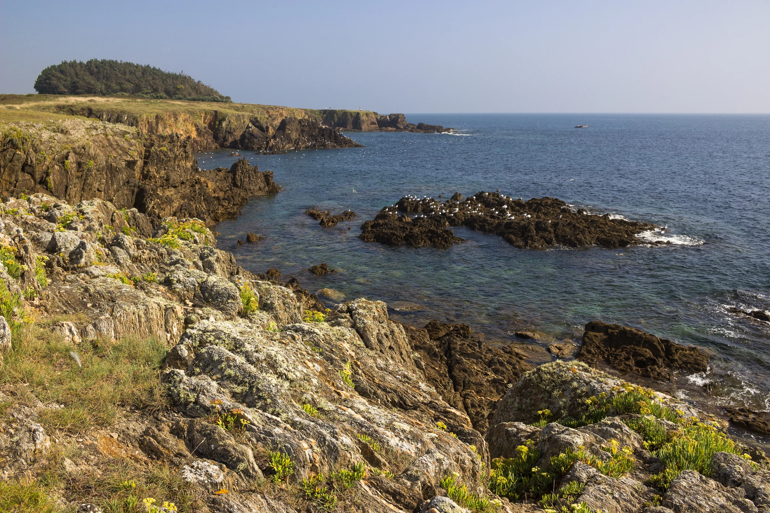   Clohars-Carnoët, an der Küste bei&nbsp;  Doëlan  , September 2014  