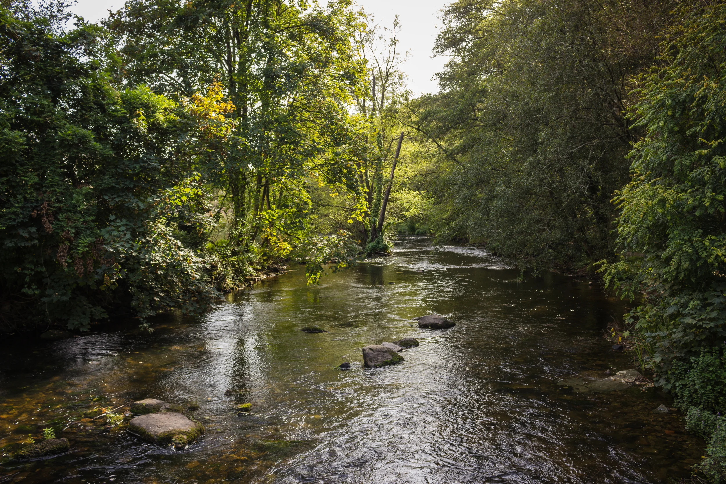  Der Aven im Bois d'Amour,&nbsp;Pont-Aven, September 2014 