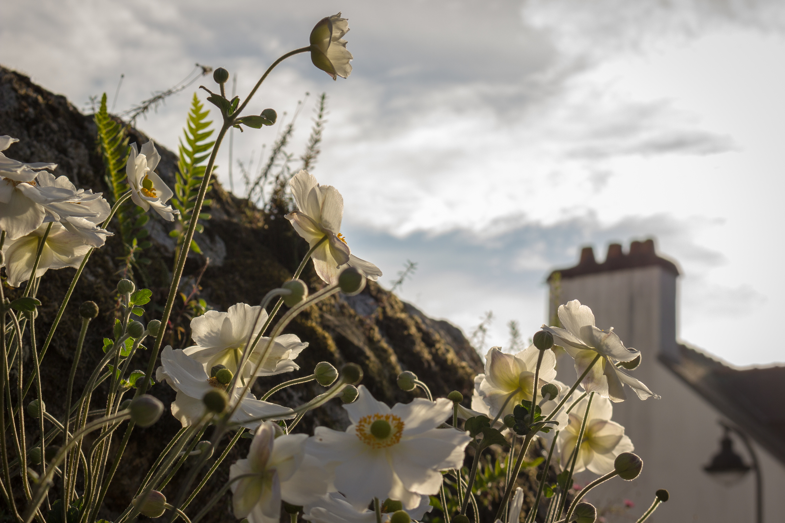 Pont-Aven, September 2014 