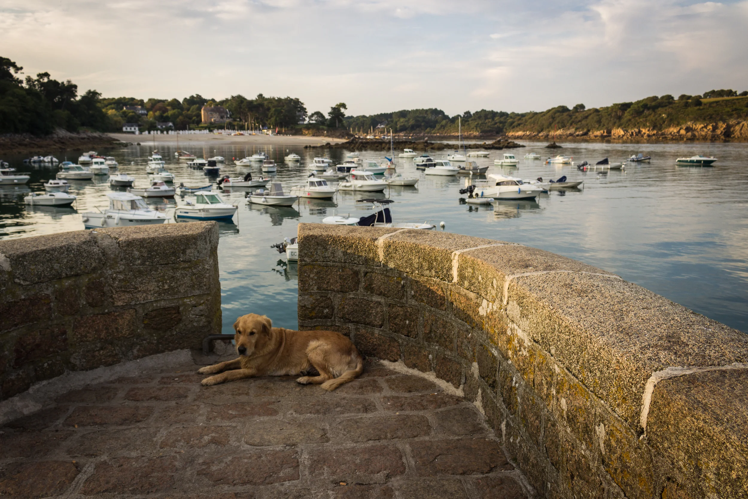  Port Manec'h, September 2014 