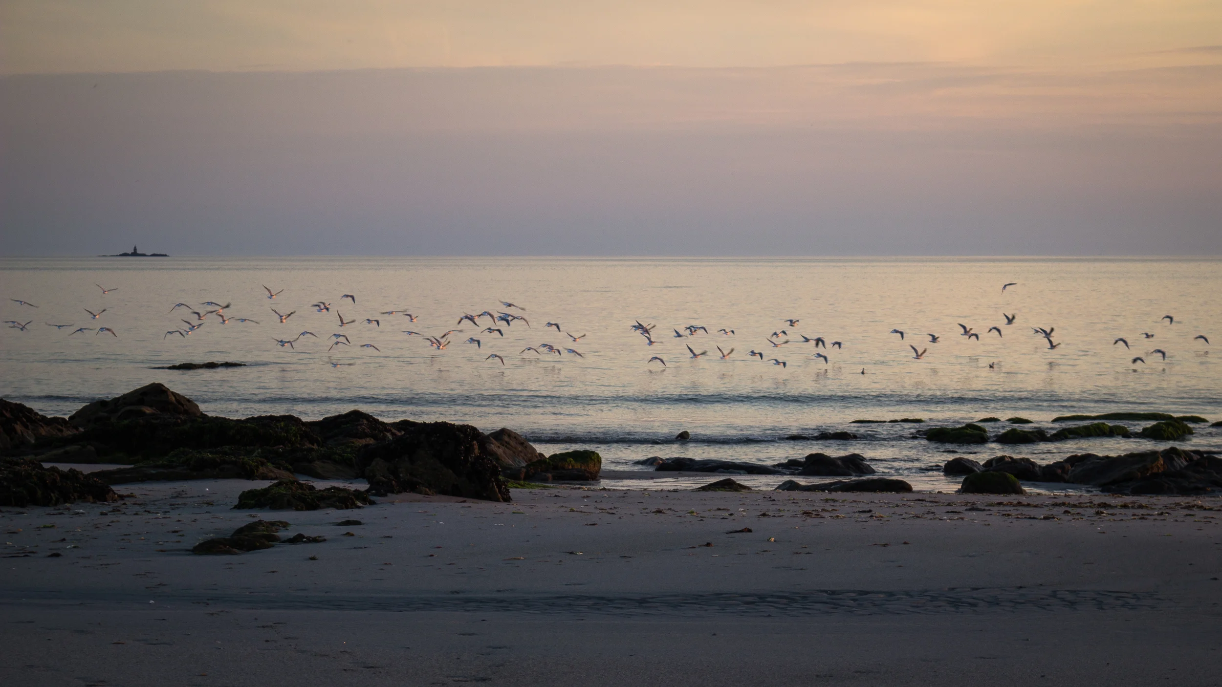  Trégunc, Plage de Don, September 2014 