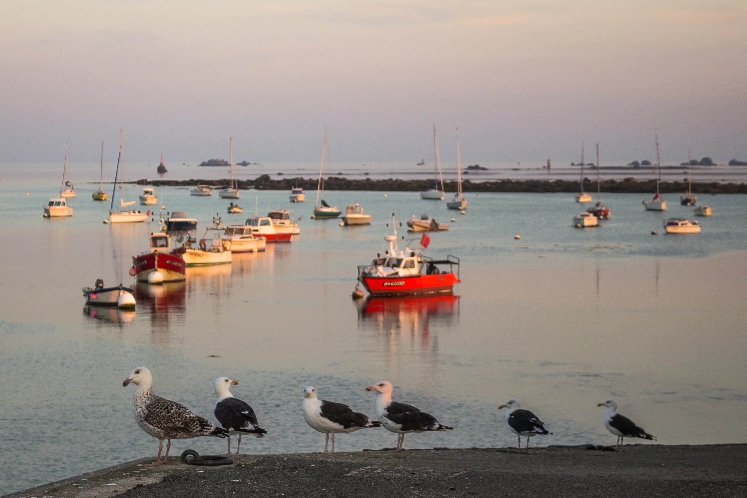   Penmarc'h, Port de Kérity, September 2014  