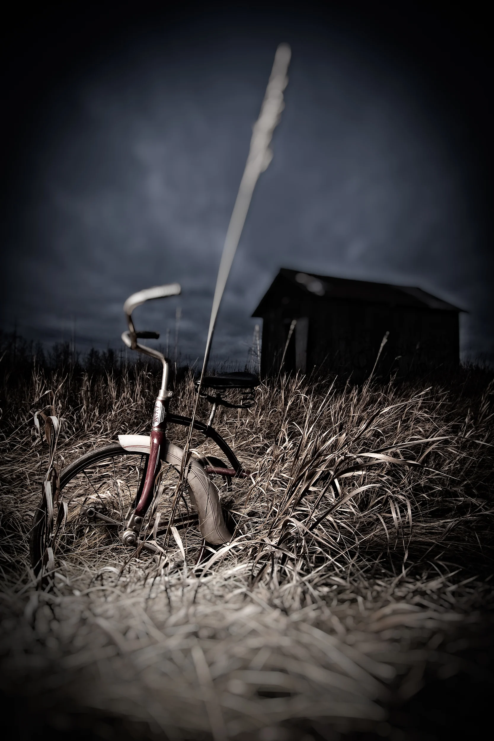 IMG_2015-Edit-Edit.jpg