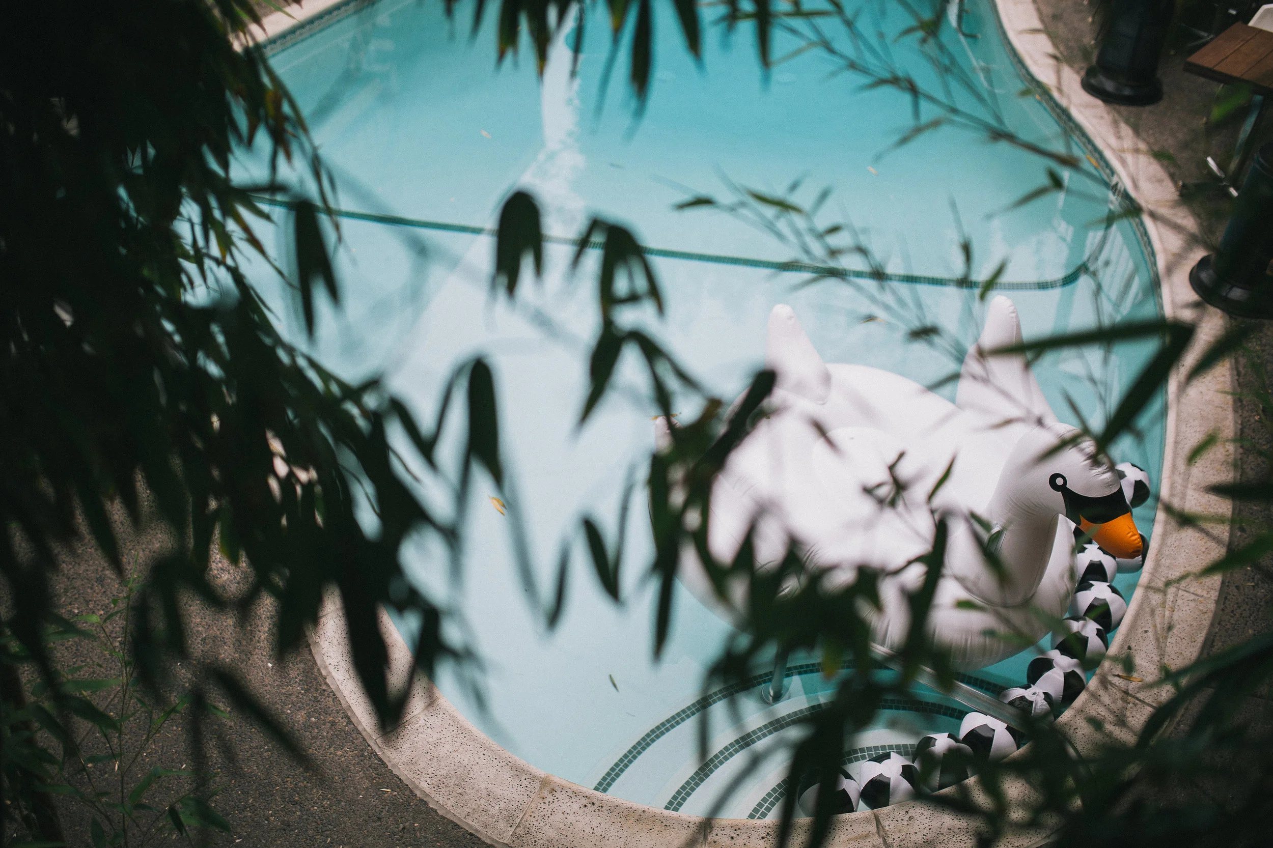UrbanPoolsideFinal-37.jpg