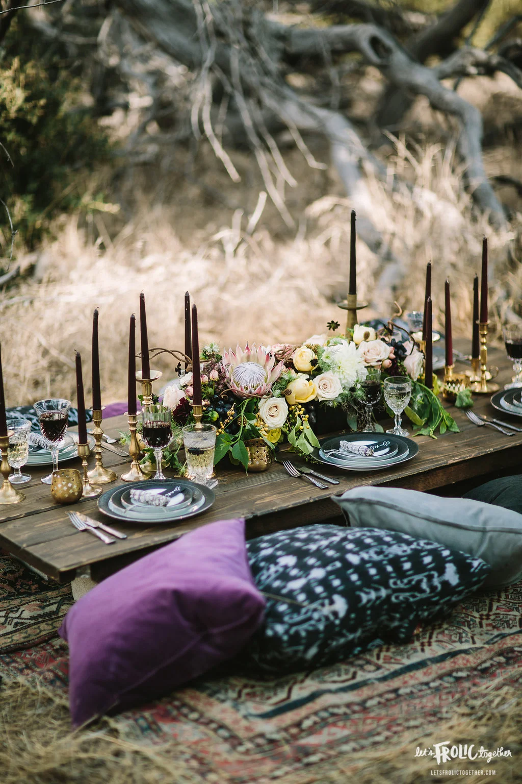 letsfrolictogether_20150907_0079.jpg