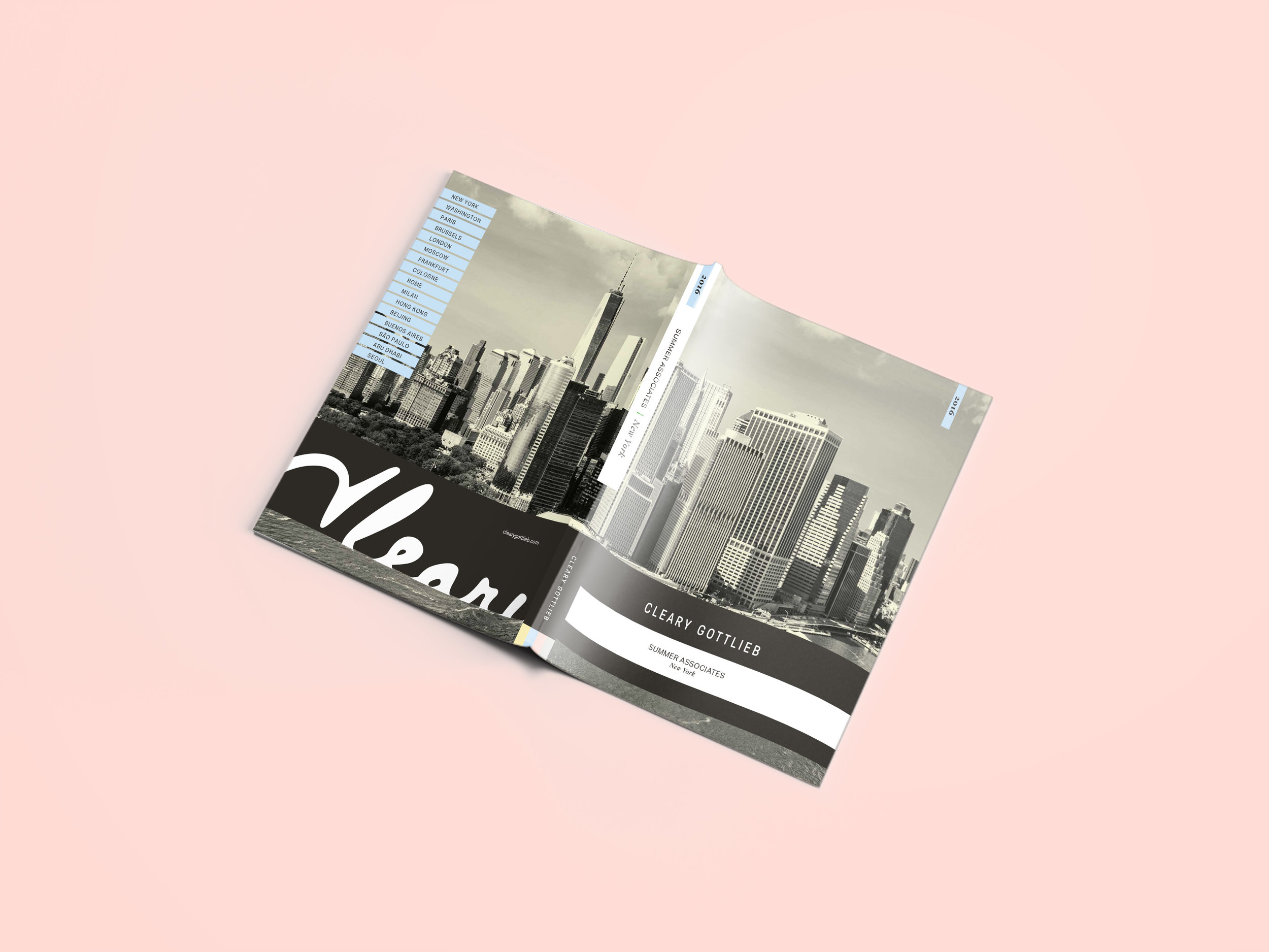 ClearySummerBinder_Mock_9519_2.jpg