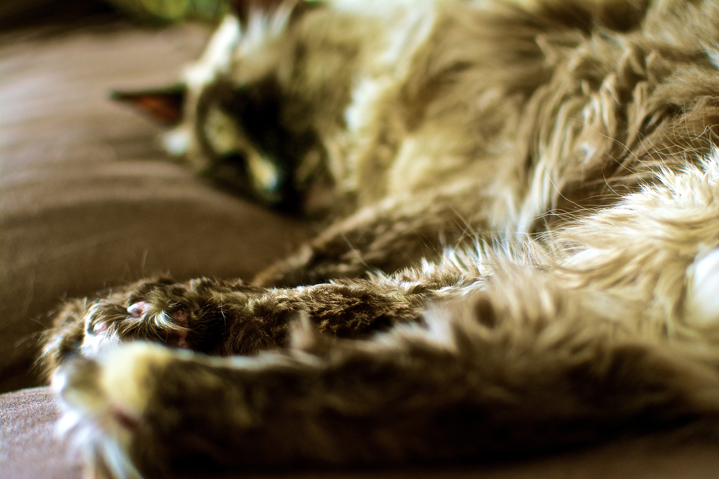 DSC_0287.jpg