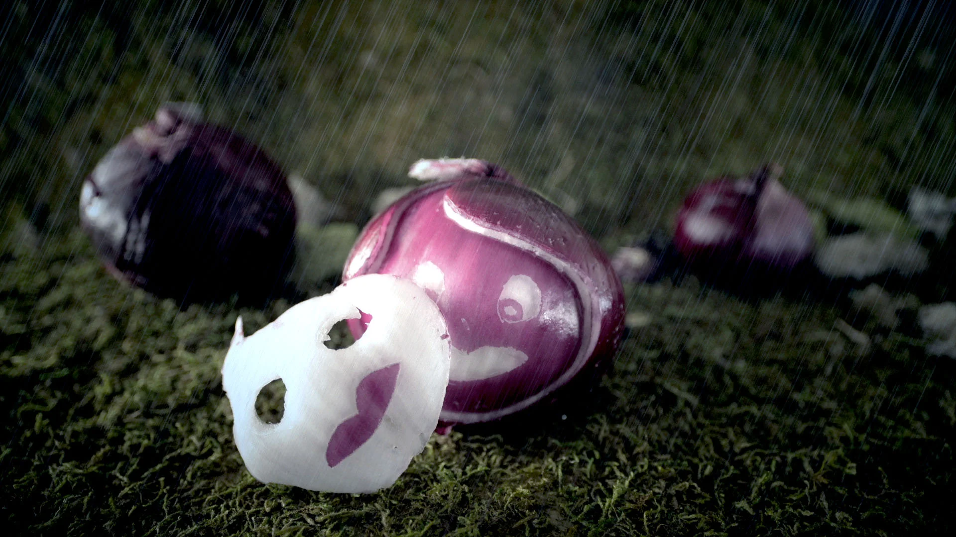 Onion --- Director + Cinematographer