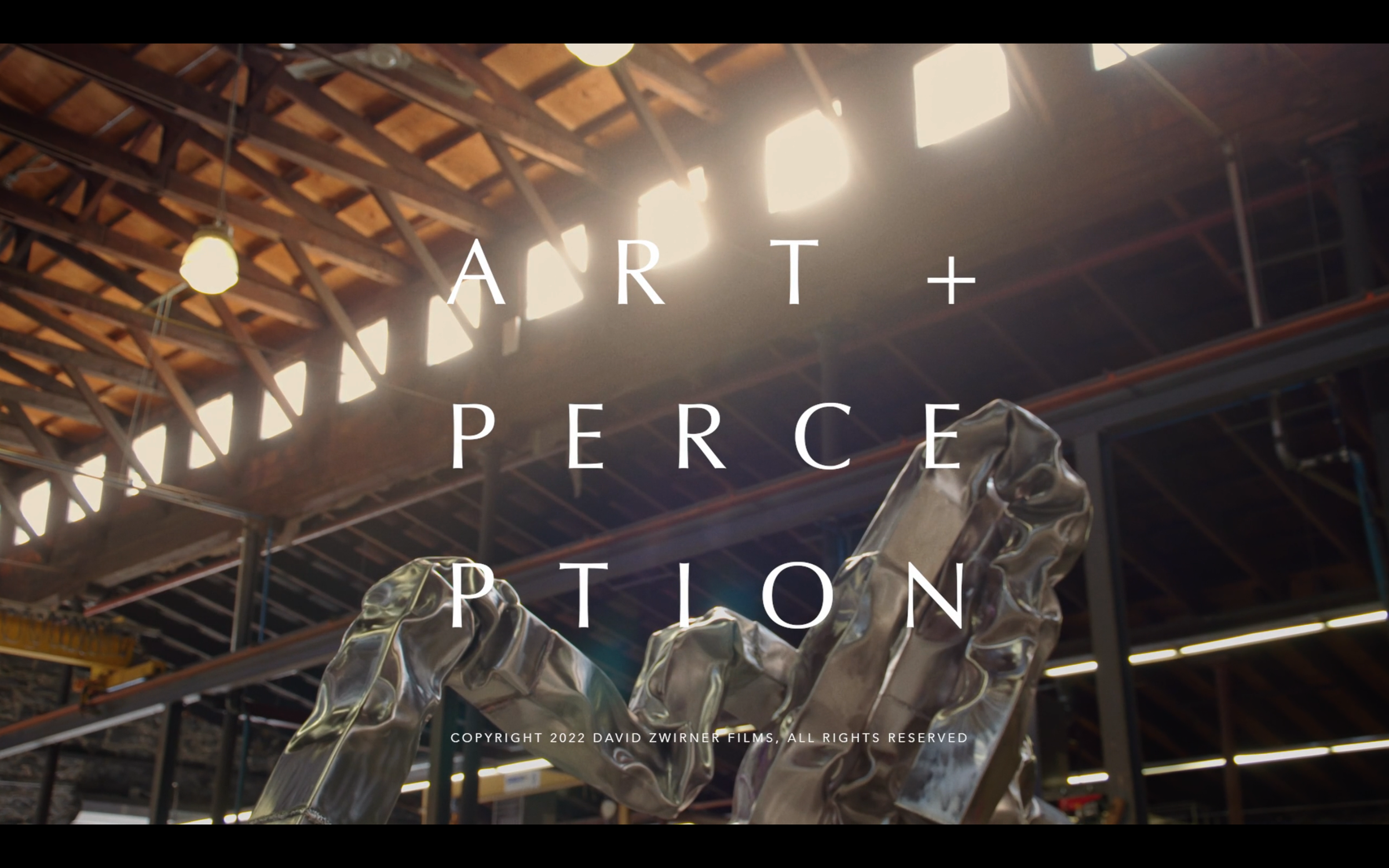 ART+PERCEPTION | Carol Bove