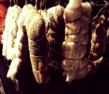 curing duck prosciutto