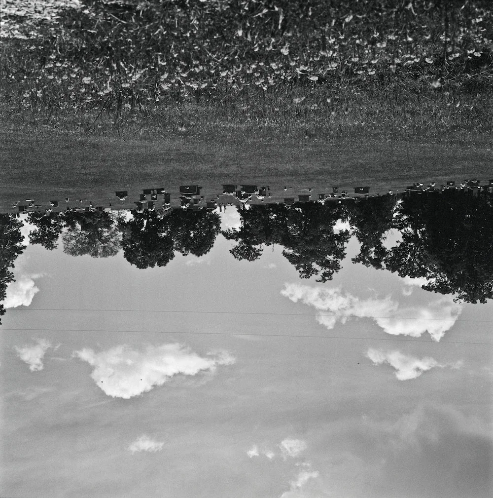 Untitled I. (Mother quadtych)