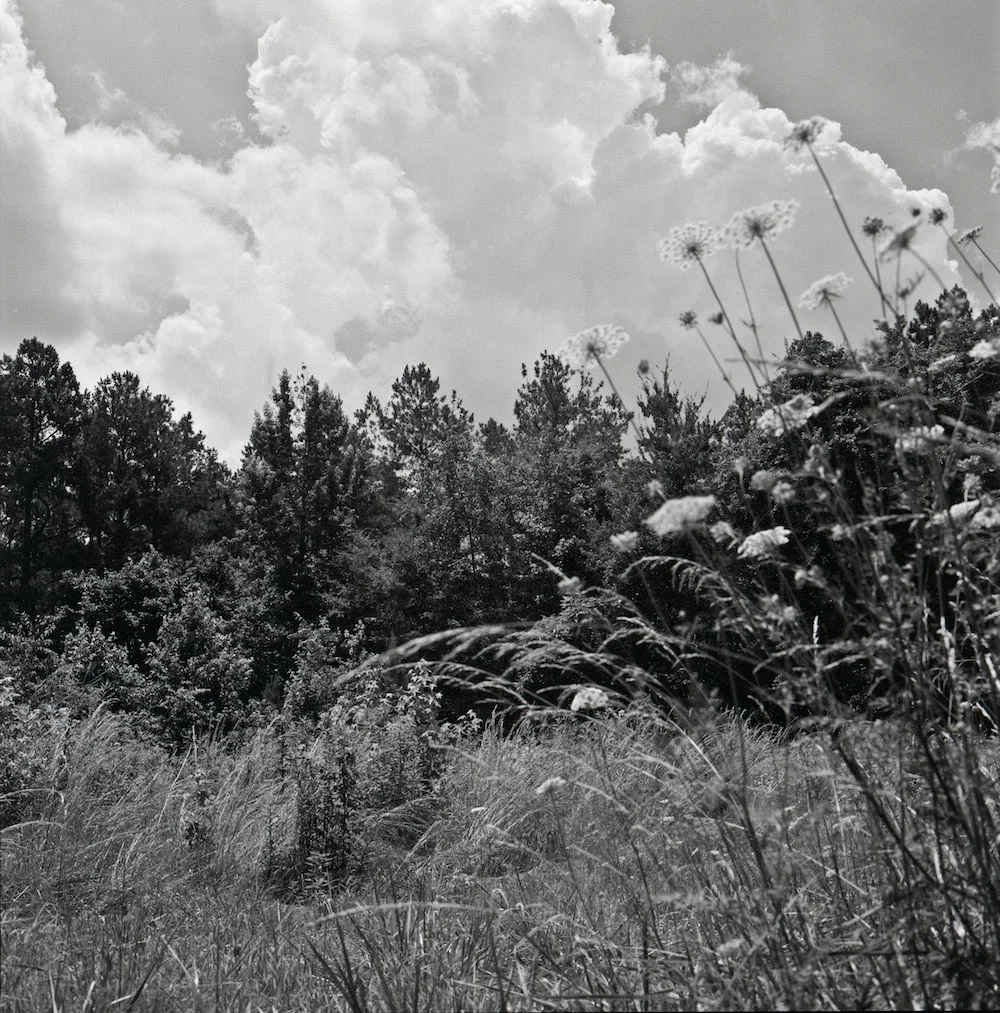 Untitled IV. (Mother quadtych)