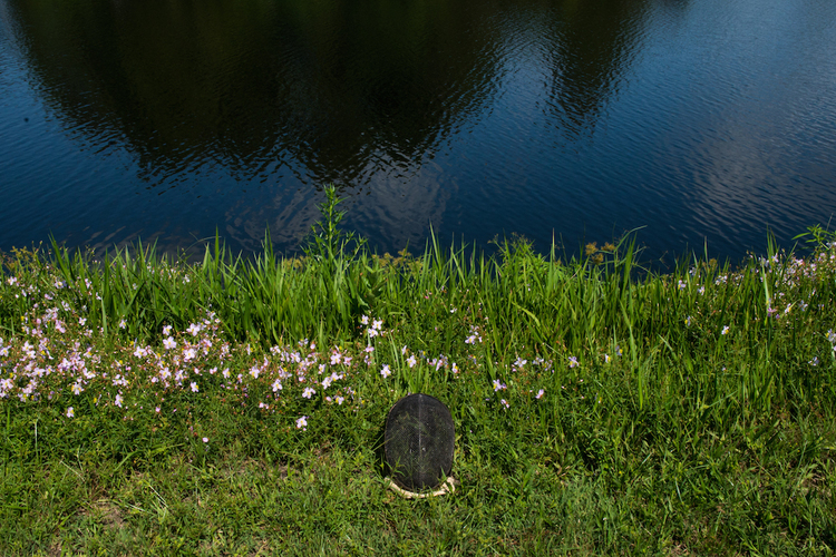 Fencing mask on the bank of a flatwoods lake.