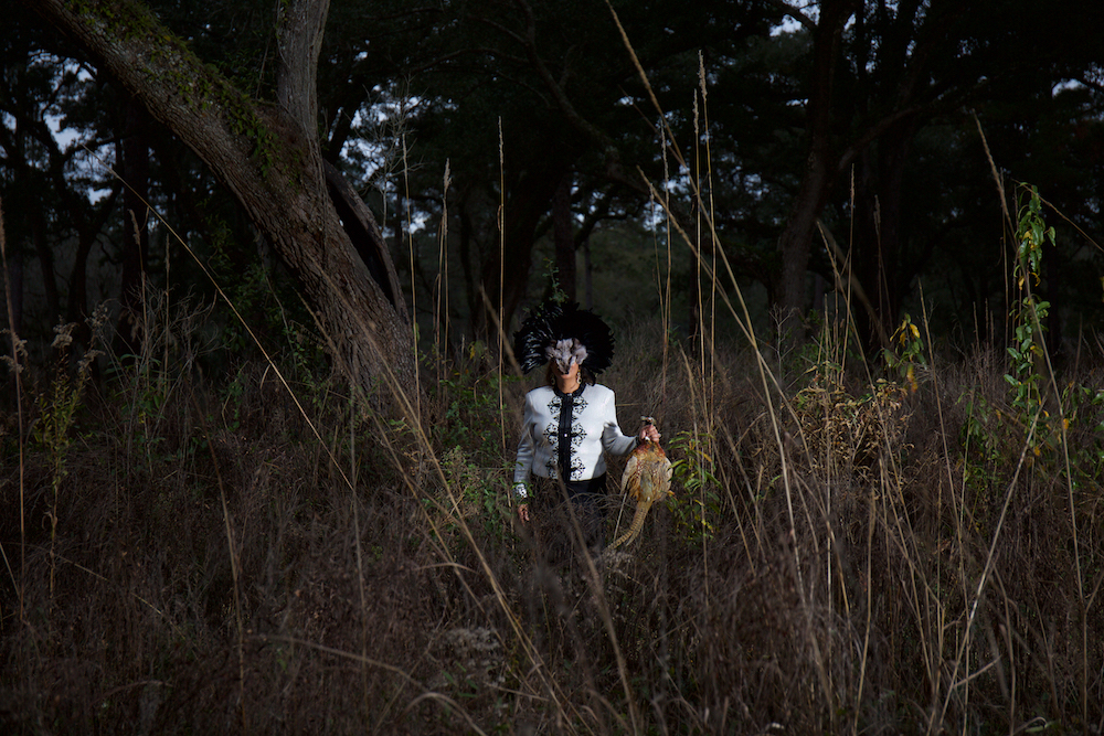 Allison Janae Hamilton - Brecencia and Pheasant II.jpg