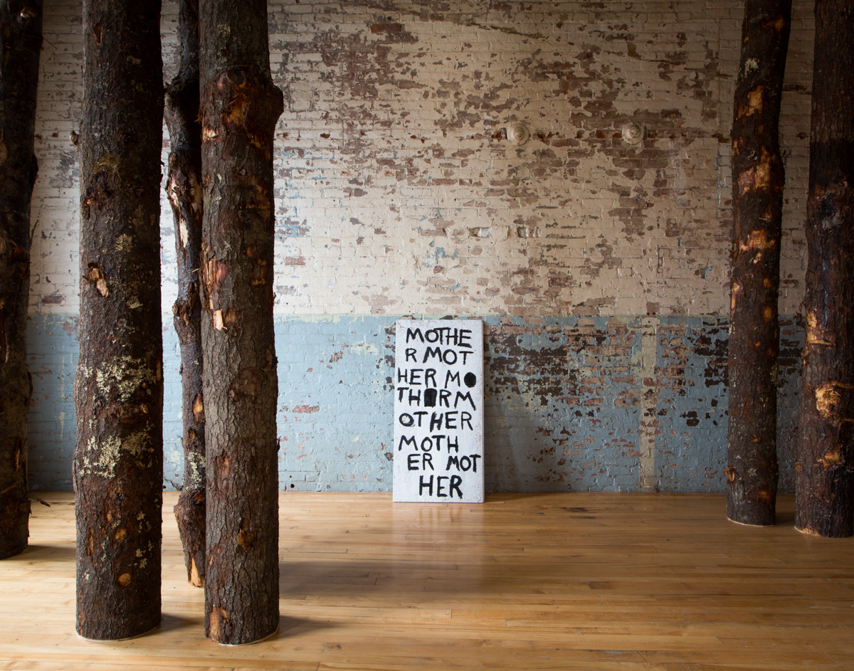 Allison Janae Hamilton - Pitch - MASS MoCA8.jpg