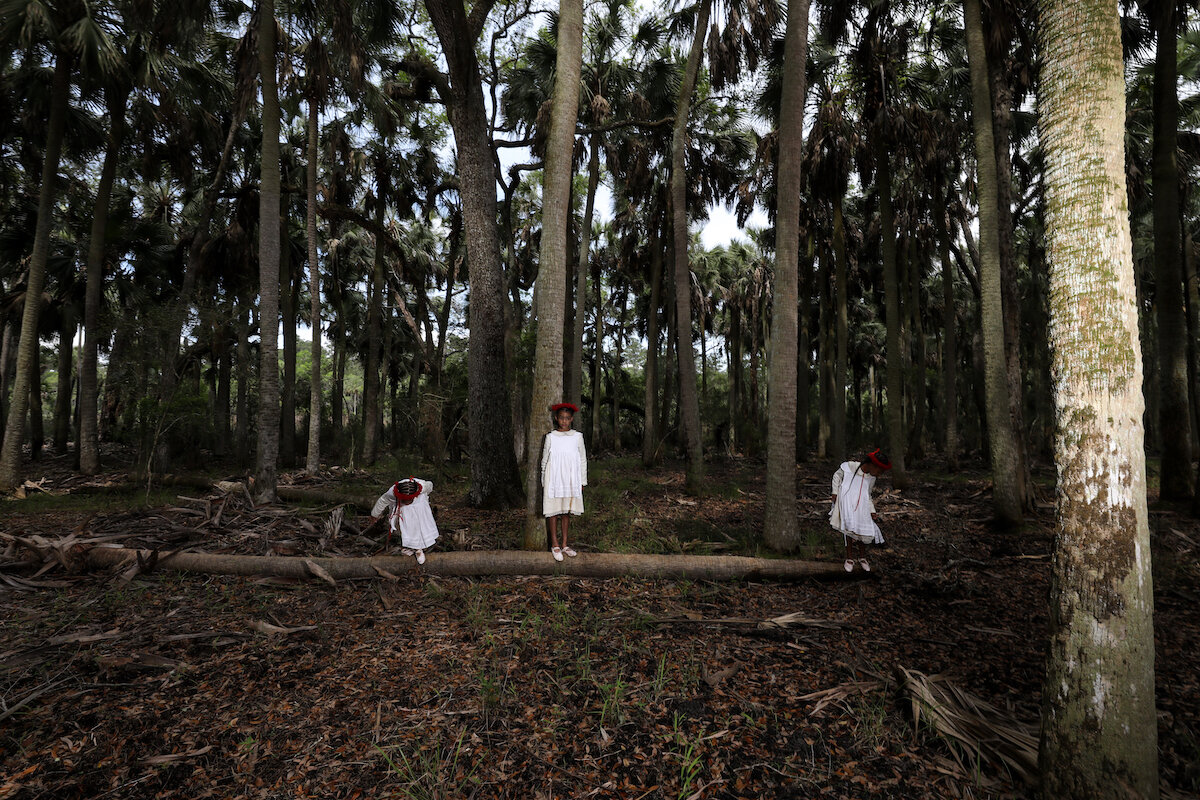 Three girls in sabal palm forest II, 2019.